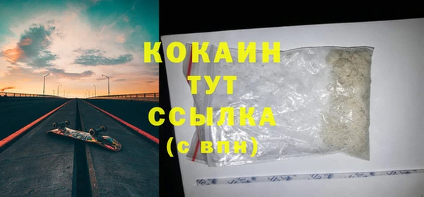 PSILOCYBIN Майский
