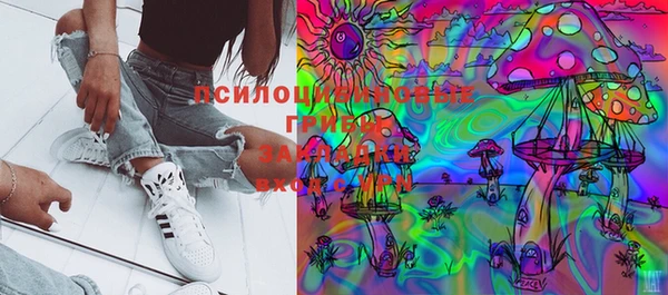 PSILOCYBIN Майский